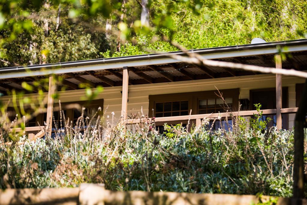 Buttercup Hill Bed & Breakfast Warburton Exterior photo